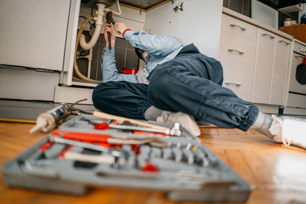 Best Local Plumber Services  in Ridgewood, IL