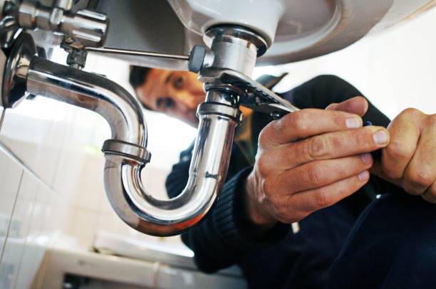 Best Plumbing Inspection Services  in Ridgewood, IL